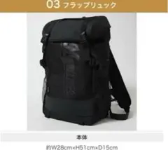 希少 千葉ロッテマリーンズ フラップリュック 2019年 FC入会特典のサムネイル
