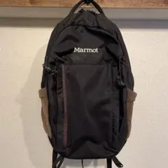 Item thumbnail for item d2b64d1a-29b7-4d83-8466-56b844e75a94