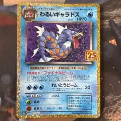 2026年最新】わるいギャラドスの人気アイテム - メルカリ