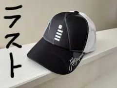 Item thumbnail for item 7d3cec7f-335b-4652-8993-74668a99e8ea