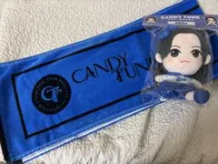 CANDY TUNE 桐原美月 ちびぬい ペンライト - メルカリ