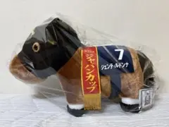 超希少エラー品 サラコレ ドリームジャーニー（ゼッケン：オ