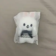 skzoo ソウルコン リービット