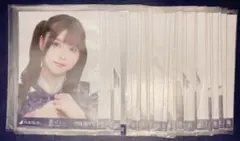 乃木坂46 乃木コレ 生写真 踏んでしまった 3期生 コンプまとめ売り