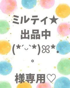 ミルティ★出品中(*ˊᵕˋ*)ꕤ*.゜様専用