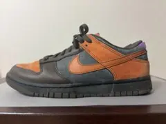 NIKE DUNK LOW RETRO PRM CIDER