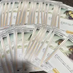 ポケモンカード【サポート】シロナの覇気/５０枚/エクストラ