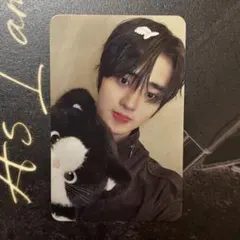 2025年最新】tempest トレカ ウンチャンの人気アイテム - メルカリ