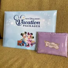 ディズニー ファイル&ファンタジースプリングスエコバッグ