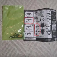 いきもの大図鑑アドバンス　エラフスホソアカクワガタ　右脚