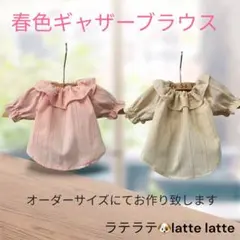 犬服 ハンドメイド　春色ギャザーブラウスをオーダーサイズで❁⃘*.゜