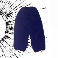 カーゴパンツ 青