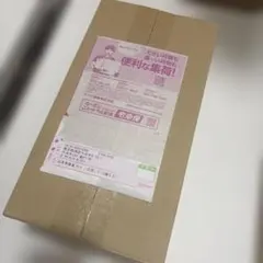 P*r様 【未開封品】ポケモンセンターフクオカ スペシャルBOX