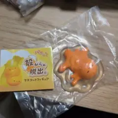 殻からの脱出。