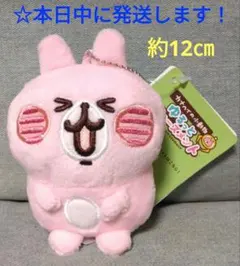 2025年最新】カナヘイの小動物ゆるっとアミューズメントの人気アイテム