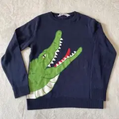 H&Ｍ　　薄手ニット　　ワニ