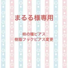 まるる様専用/即購入/食品サンプル/ミニチュアフード/フェイクフード/ピアス
