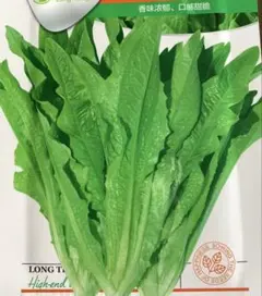 Kyo様 リクエスト 3点 まとめ商品