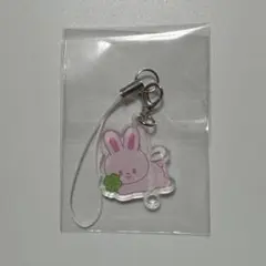 スキズペンミ 4/4 入場特典 チャーム リノ