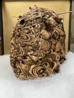 Item thumbnail for item 04f7facf-a1c1-4da4-9182-e34bcb6e3a4d