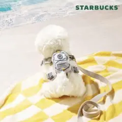 2026年最新】Starbucks 犬用品の人気アイテム - メルカリ
