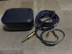 2026年最新】NICEHCK dualgodの人気アイテム - メルカリ