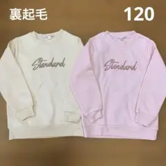 トレーナー 裏起毛 まとめ