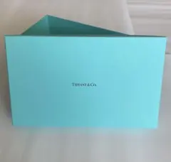 TIFFANY ティファニーブルー 空き箱 希少な大きめサイズ 美品のサムネイル