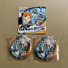 ハイキュー　コレクション缶バッジ　第3弾　メモリーズ　田中龍之介　2個