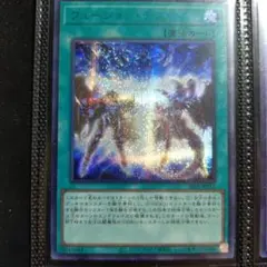 遊戯王OCG フュージョン・デステニー ブルーシークレット ブルシク