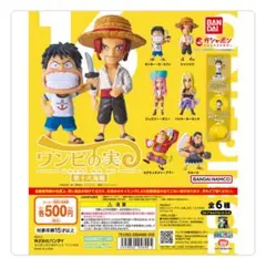 ONE PIECE ワンピース ワンピの実 第十六海戦 コンプリート