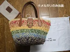 コーチ スモールトート ストロー レインボー