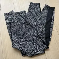 Item thumbnail for item 0d795a8e-ee41-4021-966c-f4fc0359c342