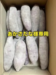あかさたな様専用　茨城県取手市産　べにはるか　B品