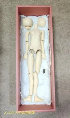 Item thumbnail for item 6337de5e-1d48-4ecf-a72e-5697aa741ff8