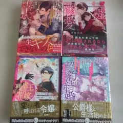 TL文庫4冊セット