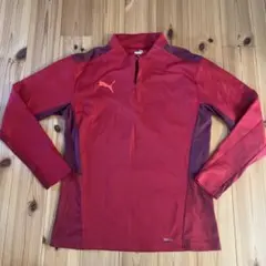 プーマ TEAMCUP TR 1/4 ジップトップ