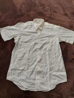 Item thumbnail for item 8a23245d-c04a-4999-8d20-34165ad752aa