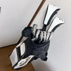 Item thumbnail for item 22dfd99b-a386-4a4f-9940-e84fcd6713b0