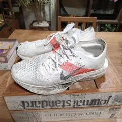 Item thumbnail for item c3508d0c-6129-4b84-9054-875b510fd256