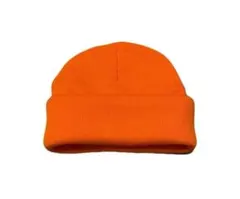 ロールアップビーニー cityboy アーカイブ ノームコア グランジ y2k