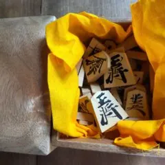 将棋の駒 天童 玉刀作 黄楊 錦旗書 手彫り 予備歩1 桐箱付き - メルカリ