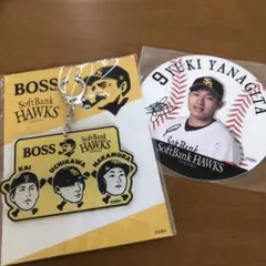 Item thumbnail for item 0e1fd734-95fd-4c12-8a4e-5cb44742fac0