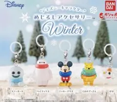 ディズニーキャラクター　 めじるしアクセサリー WINTER ウィンター