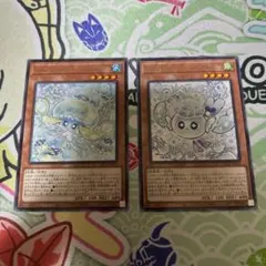 マルチャミーフワロス　プルリア　セット