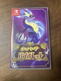 Nintendo Switch ポケットモンスター バイオレット
