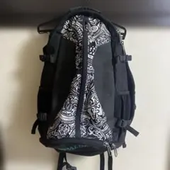 Item thumbnail for item 30b1e92c-ba37-4cb7-9a4e-56bff0b04ba3