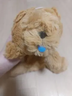 Item thumbnail for item 8744b76f-1712-4521-80c4-52bee59f1623