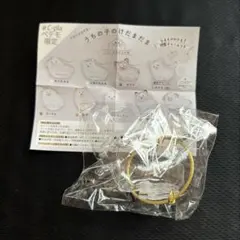 うちの子のけだまだま　丸たれみみ