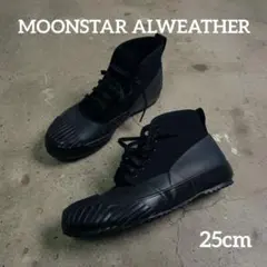 Item thumbnail for item f215d9d9-1da6-4796-8fb8-9b609cfc3cfa